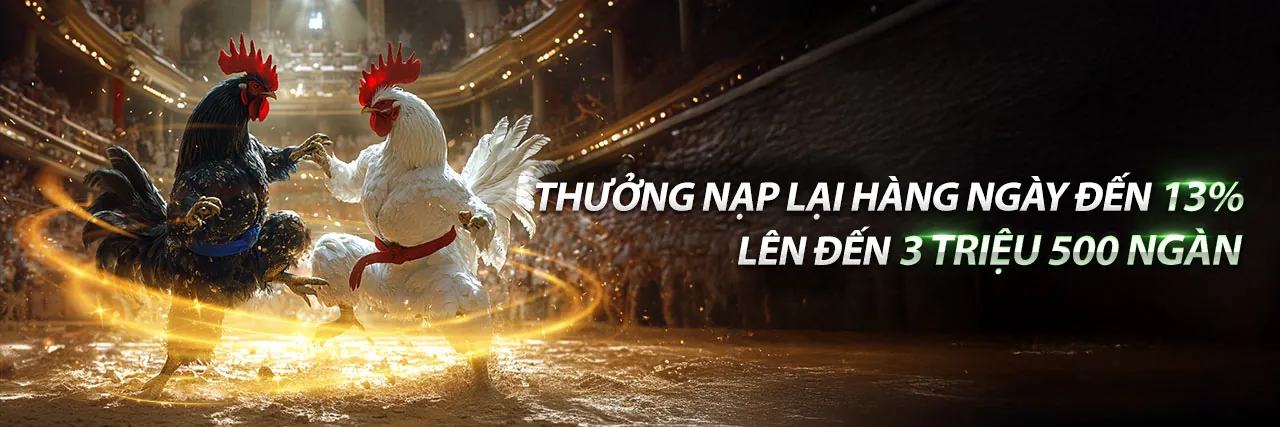Hình ảnh sân vận động với không khí cá cược thể thao sôi động tại 8vnd đăng nhập
